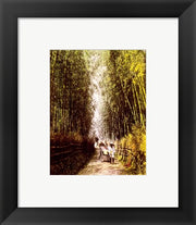 Bamboo Path