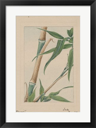 Bamboo Tree Detail