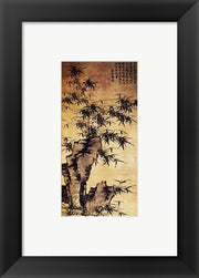 Xia Chang-Bamboo and Stone