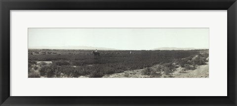 Framed Art Frame Art Alfalfa fields, Pre City Las Vegas, Nevada Wall Decor 18x24 Artwork