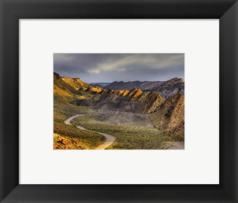 Framed Art Cockscomb cottonwood Framed Art for your Home Wall Decor 18x24 Artwork