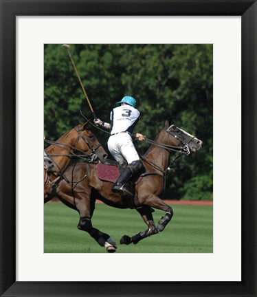 Framed Art Polo nearside back Wall Decor 18x24 Artwork
