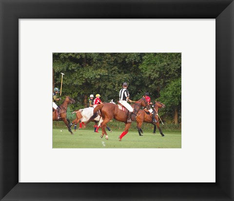 Framed Art Polo Umpire Wall Decor 18x24 Artwork