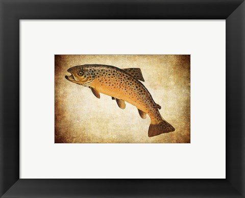 Framed Art Brown Trout II Framed Art for your Home Wall Decor 18x24 Artwork