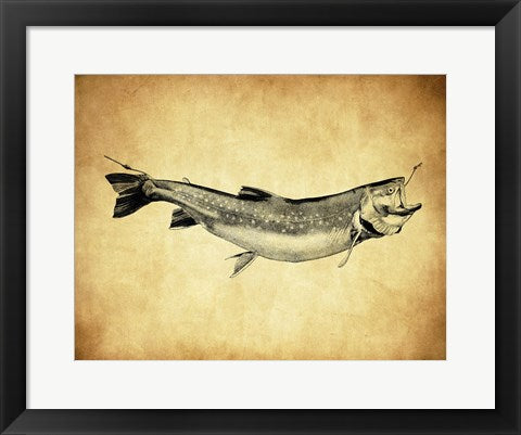 Framed Art Trout - black and white Wall Decor 18x24 Artwork
