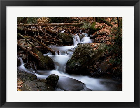Framed Art Autumn at Mt. Tammany by Rob Sturcke Wall Decor 18x24 Artwork
