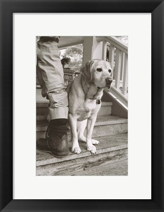 Framed Art Beamy Framed Art for your Home Wall Decor 18x24 Artwork