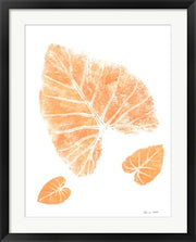 Elephant by Rob Sturcke