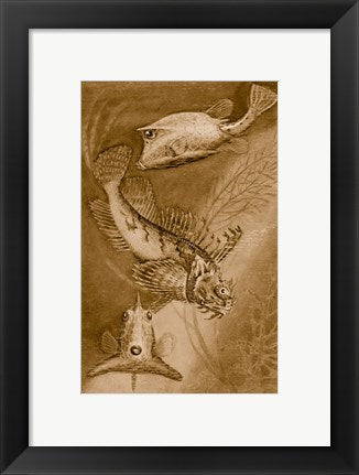 Framed Art Frame Art Cow trunk fish, orange sea raven, common trunk fish Wall Decor 18x24 Artwork