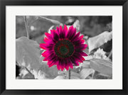 Burst by Delaney Flanders