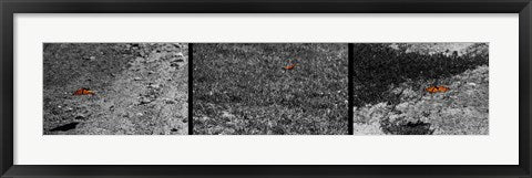 Fight or Flight by Delaney Flanders