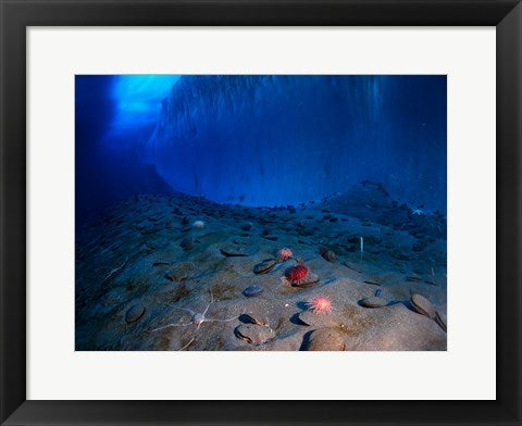 Framed Art Ice Wall and the Ocean Floor at Explorer's Cover Wall Decor 18x24 Artwork