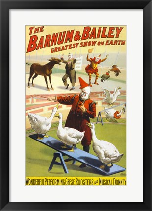 Framed Art The Barnum & Bailey Performing Geese, Roosters and Musical Donkey Wall Decor 18x24 Artwork