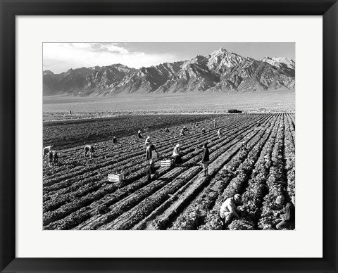 Framed Art Frame Art Farm Workers and Mt. Williamson by Ansel Adams Wall Decor 18x24 Artwork