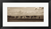 Framed Art Egyptian Camel Transport Wall Decor 18x24 Artwork