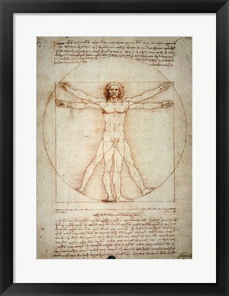 Framed Art Vitruvian Man by Leonardo Da Vinci Wall Decor 18x24 Artwork