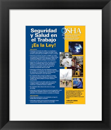 Framed Art OSHA Job Safety and Health Spanish Version 2012 Wall Decor 18x24 Artwork