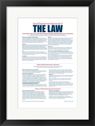 Framed Art Equal Opportunity Employment 2012 Wall Decor 18x24 Artwork