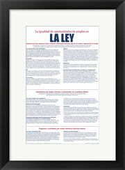 Framed Art Frame Art Equal Opportunity Employment Spanish Version 2012 Wall Decor 18x24 Artwork