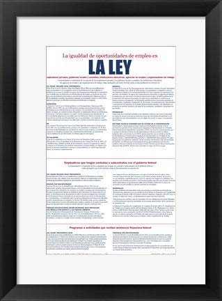 Framed Art Frame Art Equal Opportunity Employment Spanish Version 2012 Wall Decor 18x24 Artwork