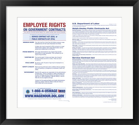 Framed Art Frame Art Employee Rights on Government Contracts 2012 Wall Decor 18x24 Artwork