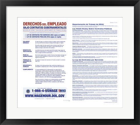 Framed Art Frame Art Employee Rights on Government Contracts Spanish Version 2012 Wall Decor 18x24 Artwork