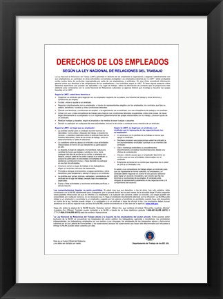 Framed Art Employee Rights Spanish Version Wall Decor 18x24 Artwork