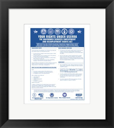 Framed Art USERRA Uniformed Services Employment and Reemployment Rights Act Wall Decor 18x24 Artwork