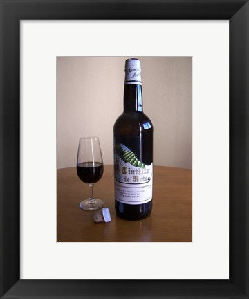 Framed Art Tintilla Wineskin Bottle Wall Decor 18x24 Artwork