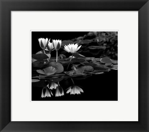 Framed Art Reflections on Water by Dennis Frates | 8 x 10