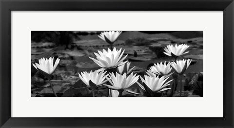 Framed White Innocence Water by Dennis Frates | 8 x 20