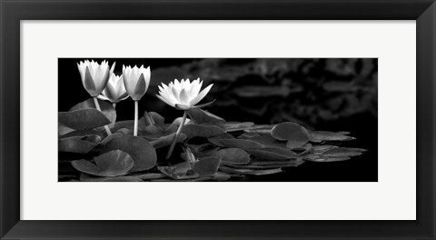 Framed Hughes Water Garden by Dennis Frates | 8 x 20