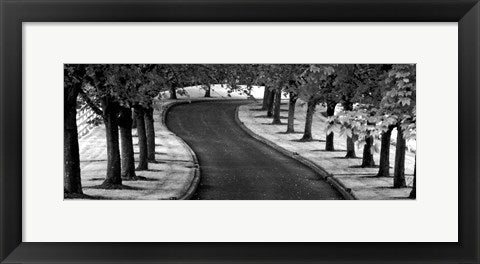 Framed Maple Tree Lined Drive by Dennis Frates | 8 x 20