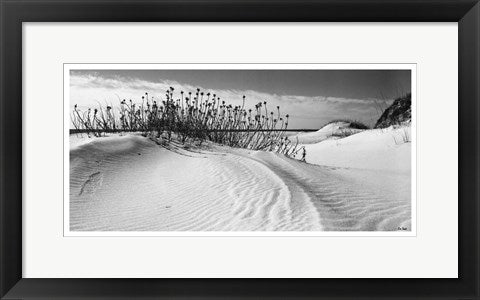 Framed Serebe Shorline by Eve Turek | 10 x 20