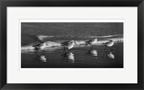 Framed Five Friends by Eve Turek | 10 x 20
