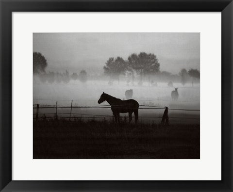 Framed Grazing in the Mist 14 x 18 1/4