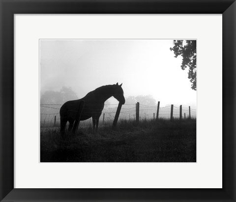 Framed Art Morning Pasture 11 1/2 x 14 1/2