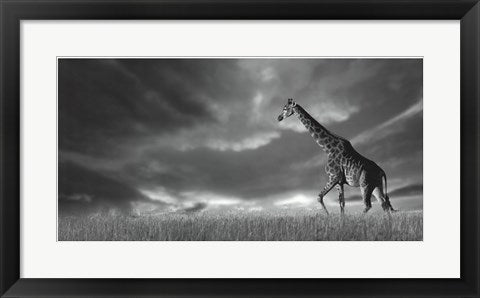 Framed Giraffes, African Skies 12 1/2 x 24 1/2