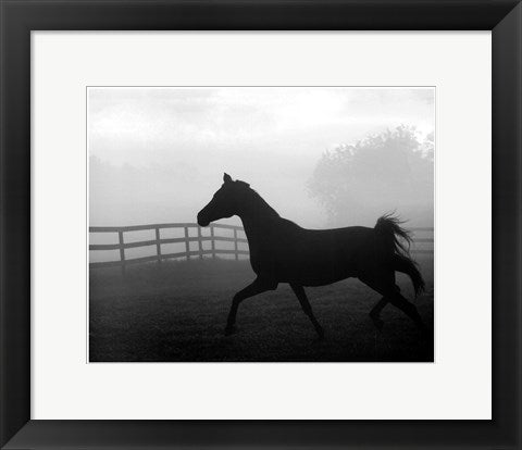 Framed Art Morning Pasture II 11 1 /2 x 14 1/2