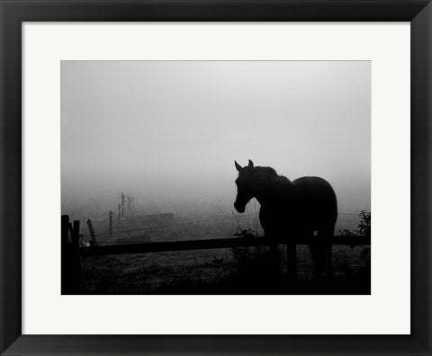 Framed Grazing in the Mist II 14 x 18 1/4