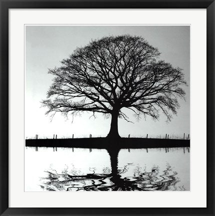 Framed Shimmering Oak 24 1/2 x 24 1/2