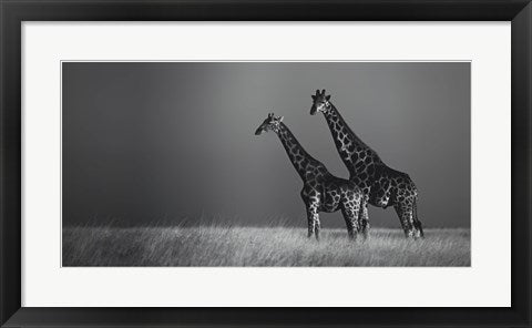 Framed African Skies II 12 1/2 x 24 1/2