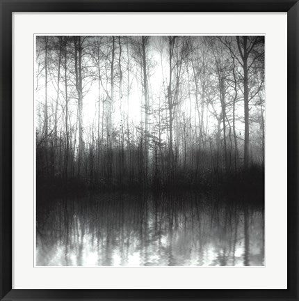 Framed Forest Mist 24 1/2 x 24 1/2