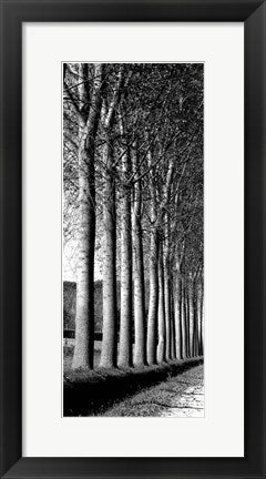 Framed Oak Lane 20 1/2 x 8 1/2