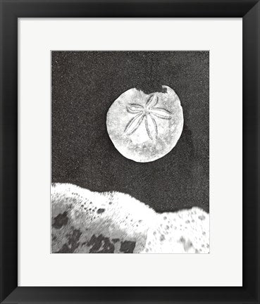 Framed Sand Dollar and Surf 14 1/2 x 11 1/2
