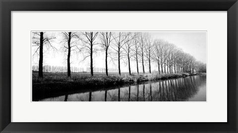 Framed Trees Along the Canal 8 x 20