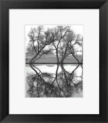 Framed Art Clarity in the Waters 10 1/2 x 8 1/2