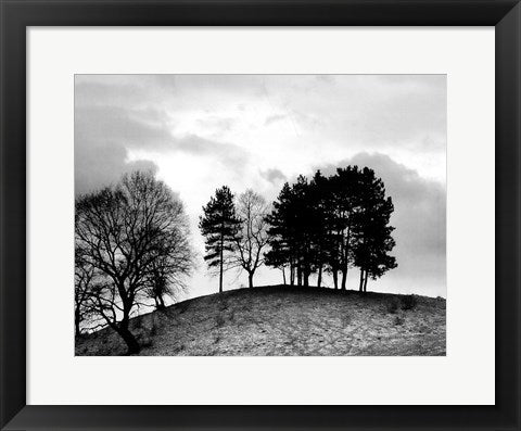 Framed Trees on Hill 14 x 18
