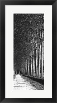 Framed Oak Lane II 20 1/2 x 8 1/2