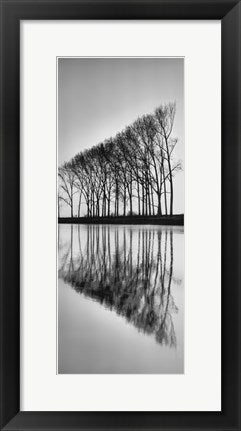 Framed Reflections 20 1/2 x 8 1/2